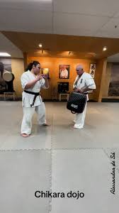 Image result for Chikara Dojo Of Kyokushin Karate