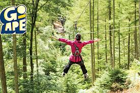 Image result for The Go Ape Experience (Delamere Forest)