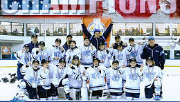 Image result for Carlisle Hockey Club