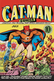 Image result for cat man