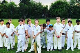 Image result for Bronwydd Cricket Club