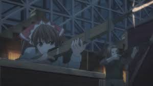 Attēlu rezultāti vaicājumam “Arcyria imperialis stalked”