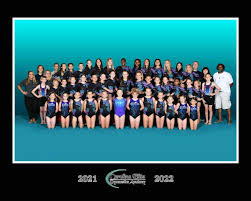 Image result for Epping Forest Elite Gymnastics Club