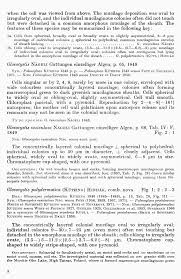 Attēlu rezultāti vaicājumam “Gloeocapsa rupestris”