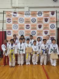 Image result for Bytomic Tae Kwon Do Windsor