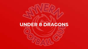 Image result for Wyvern Dragons Junior Badminton Club