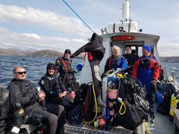 Image result for Eltham and District Sub Aqua Club