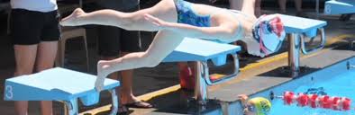 Image result for Sharks Swimming Club Of Mottingham