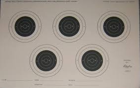 Image result for Darlington RA small-bore and Field target Club