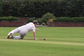 Image result for Hampole & Skelbrooke Cricket Club