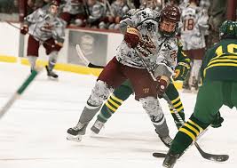 Image result for Norwich Dragons Hockey Club