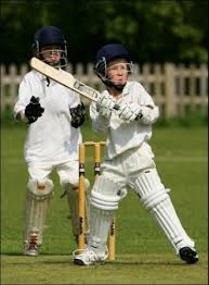 Image result for Lynchmere Cricket Club