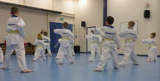 Image result for Bytomic Tae Kwon Do Windsor