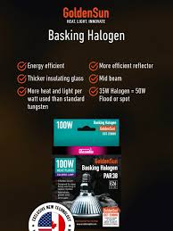 Risultati immagini per arcadia basking solar flood