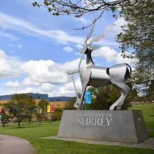 Image result for University Of Surrey