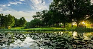 Image result for Hertfordshire Microlight Club