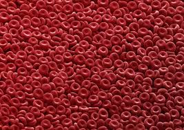 Image result for blood