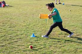 Image result for Ifield Cricket Club