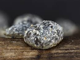 Attēlu rezultāti vaicājumam “Badhamia dubia macro”