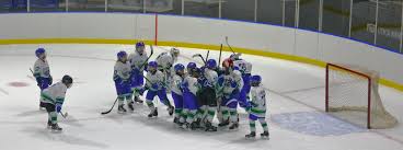 Image result for Comets Junior Badminton Club