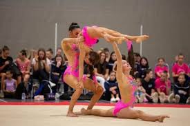 Image result for West Lothian Artistic Gymnastic Club