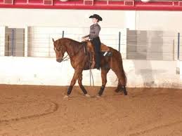 Image result for Fisher Equestrian