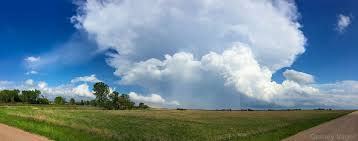 Image result for Halstead Cyclones