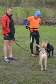 Image result for Ampthill and Flitwick Flyers