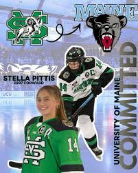 Image result for Stockton Ladies Hockey Club