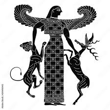 Image result for selvatici tehron