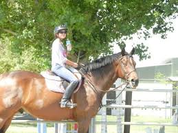 Image result for Huntingdon and District Riding Club