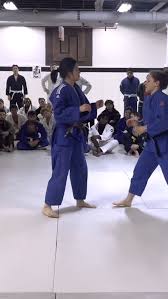 Image result for Unity School Of Jiu Jitsu