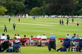 Image result for Antelope & Castle Cricket Club