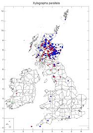 Attēlu rezultāti vaicājumam “Xylographa paralella”