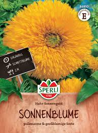 Image result for Sonnenblume