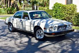 Image result for Silver Birch 1987 Jaguar