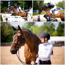 Image result for South Weylands Equestrian