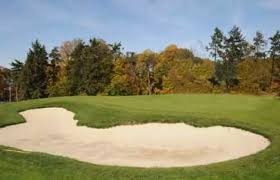 Image result for Newark Golf Club Co Ltd