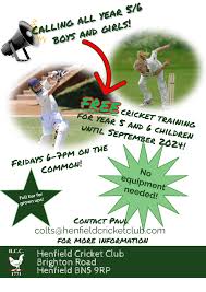 Image result for Henfield Cricket Club