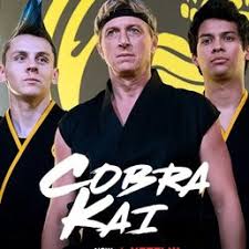 Image result for Cobra Karate Club