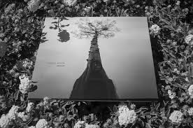 Attēlu rezultāti vaicājumam “Adoxus obscurus”