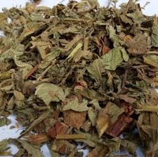 Attēlu rezultāti vaicājumam “Agrimonia pilosa leaf”