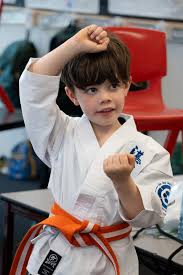 Image result for Inyo Karate Do Ninbukan
