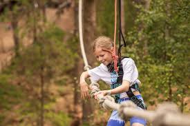 Image result for Go Ape! Grizedale