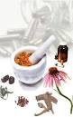 New – Homeopathic Soulutions | Homeopathy