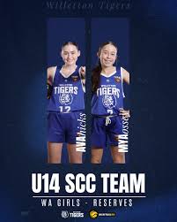 Image result for Everton Tigers Basketball Club