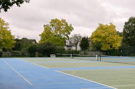 Image result for Battersea Park Millennium Arena