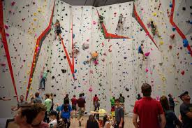 Image result for High Sports Climbing Wall
