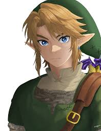 Image result for link twilight princess