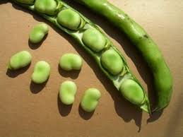 Attēlu rezultāti vaicājumam “Leguminosae”